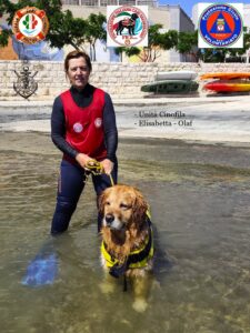 cani salvataggio, cani da salvataggio, fics, federazione italiana cani salvataggio