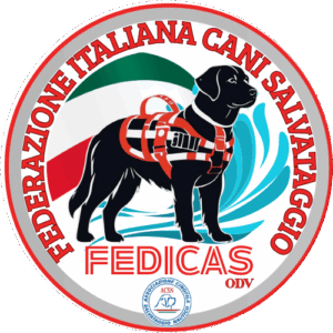 cani salvataggio, cani da salvataggio, cani bagnini, rescue dog, rescue dogs, cani da soccorso nautico, unità cinofile, unità cinofile da soccorso, unità cinofile da soccorso nautico, fedicas, cani salvataggio lago maggiore, cani salvataggio puglia, cani salvataggio lombardia, cani salvataggio piemonte, cani salvataggio toscana, cani salvataggio lago maggiore