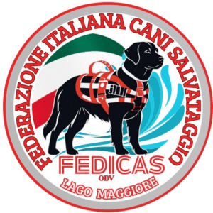 cani salvataggio, cani da salvataggio, cani bagnini, rescue dog, rescue dogs, cani da soccorso nautico, unità cinofile, unità cinofile da soccorso, unità cinofile da soccorso nautico, fedicas, cani salvataggio lago maggiore