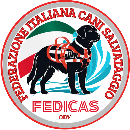 cani salvataggio, cani da salvataggio, cani bagnini, rescue dog, rescue dogs, cani da soccorso nautico, unità cinofile, unità cinofile da soccorso, unità cinofile da soccorso nautico, fedicas, cani salvataggio lago maggiore, cani salvataggio puglia, cani salvataggio lombardia, cani salvataggio piemonte, cani salvataggio toscana, cani salvataggio lago maggiore
