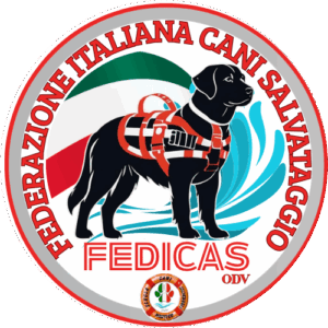 cani salvataggio, cani da salvataggio, cani bagnini, rescue dog, rescue dogs, cani da soccorso nautico, unità cinofile, unità cinofile da soccorso, unità cinofile da soccorso nautico, fedicas, cani salvataggio lago maggiore, cani salvataggio puglia, cani salvataggio lombardia, cani salvataggio piemonte, cani salvataggio toscana, cani salvataggio lago maggiore