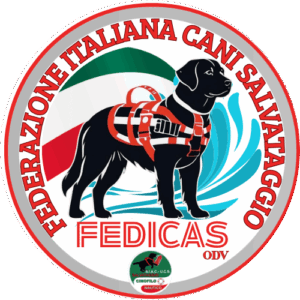 cani salvataggio, cani da salvataggio, cani bagnini, rescue dog, rescue dogs, cani da soccorso nautico, unità cinofile, unità cinofile da soccorso, unità cinofile da soccorso nautico, fedicas, cani salvataggio lago maggiore, cani salvataggio puglia, cani salvataggio lombardia, cani salvataggio piemonte, cani salvataggio toscana, cani salvataggio lago maggiore