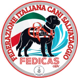 cani salvataggio, cani da salvataggio, cani bagnini, rescue dog, rescue dogs, cani da soccorso nautico, unità cinofile, unità cinofile da soccorso, unità cinofile da soccorso nautico, fedicas, cani salvataggio lago maggiore, cani salvataggio puglia, cani salvataggio lombardia, cani salvataggio piemonte, cani salvataggio toscana, cani salvataggio lago maggiore